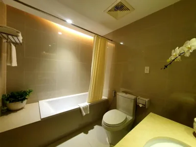 Saigon Hotel – 照片 8